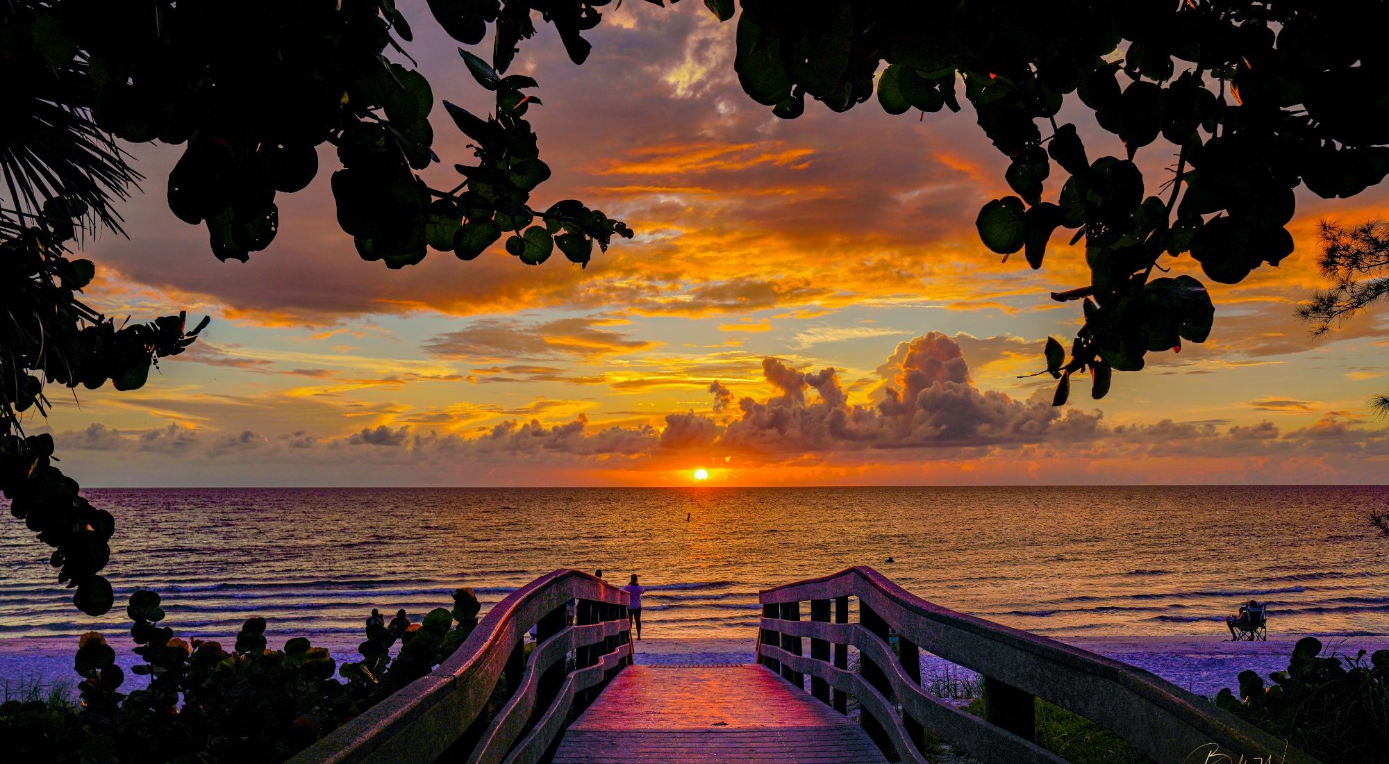 Tarot readings, astrology charts, numerology